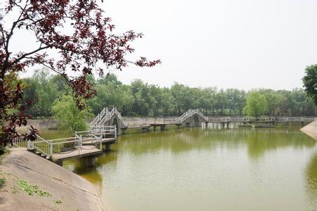 南阳天气预报10天查询，末来十天天气