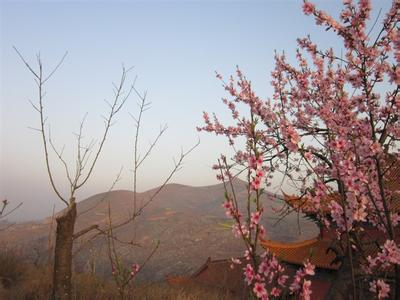 镇平天气预报10天查询，末来十天天气