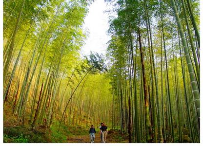 南平顺昌天气预报_顺昌天气预报一周7天10天15天南平顺昌天气预报,顺昌天气预报一周7天10天15天