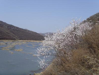 铜川印台天气预报_印台天气预报一周7天10天15天铜川印台天气预报,印台天气预报一周7天10天15天