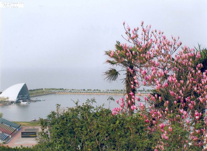 湖州太湖天气