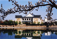 潍坊世界风筝博物馆天气