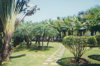海口兴隆热带植物园