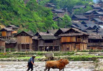 黔东南小黄侗寨天气 黔东南小黄侗寨天气